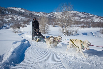 sledding park city sledding park city utah park city sledding sledding park city sledding park city utah park city sledding