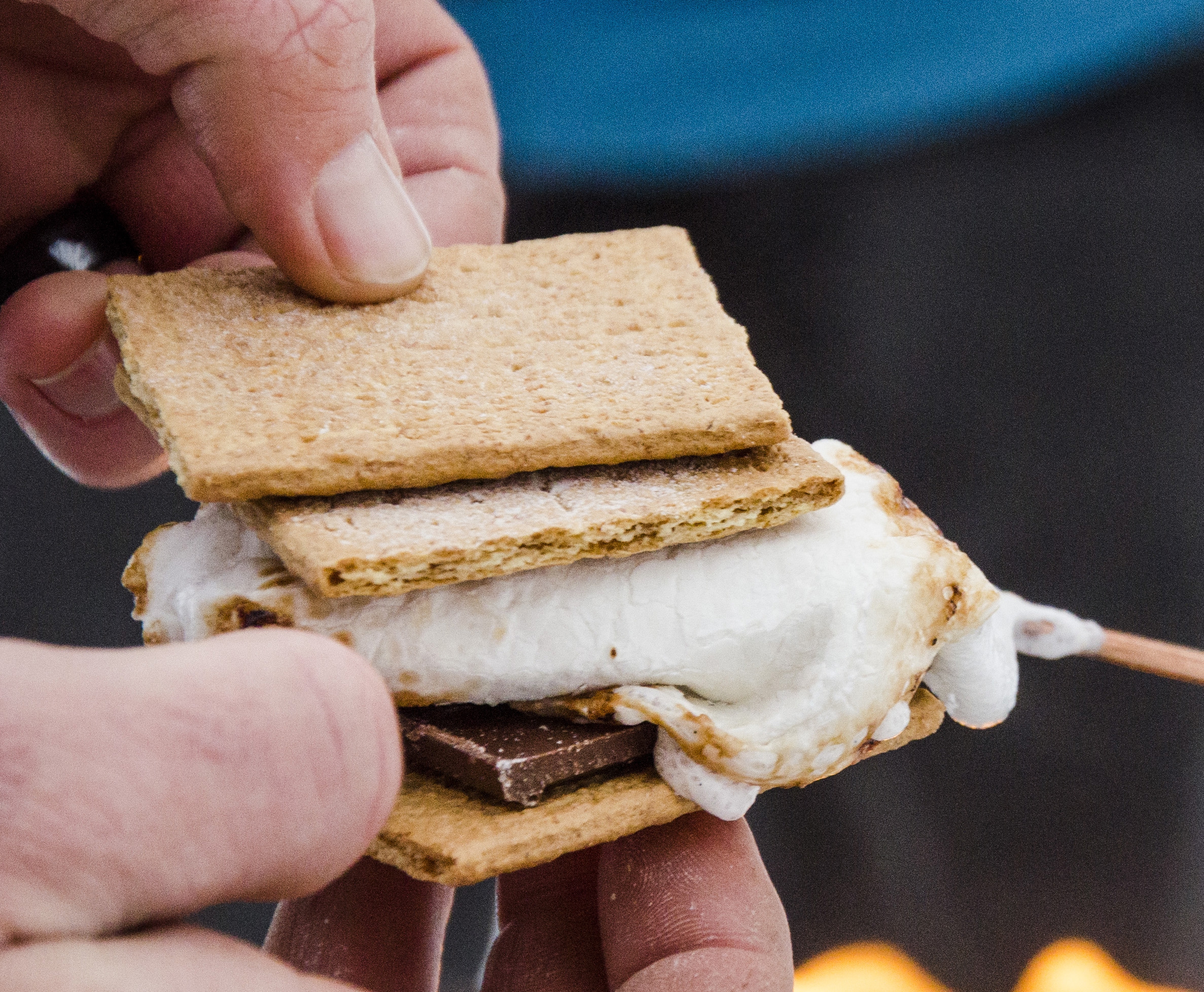 Snowshoeing Park City, Utah All Seasons Adventures Scenic Tours