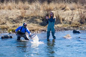 Having an experienced guide along will increase your chances of landing a trout, here a first time angler is doing everything right. Having an experienced guide along will increase your chances of landing a trout, here a first time angler is doing everything right.